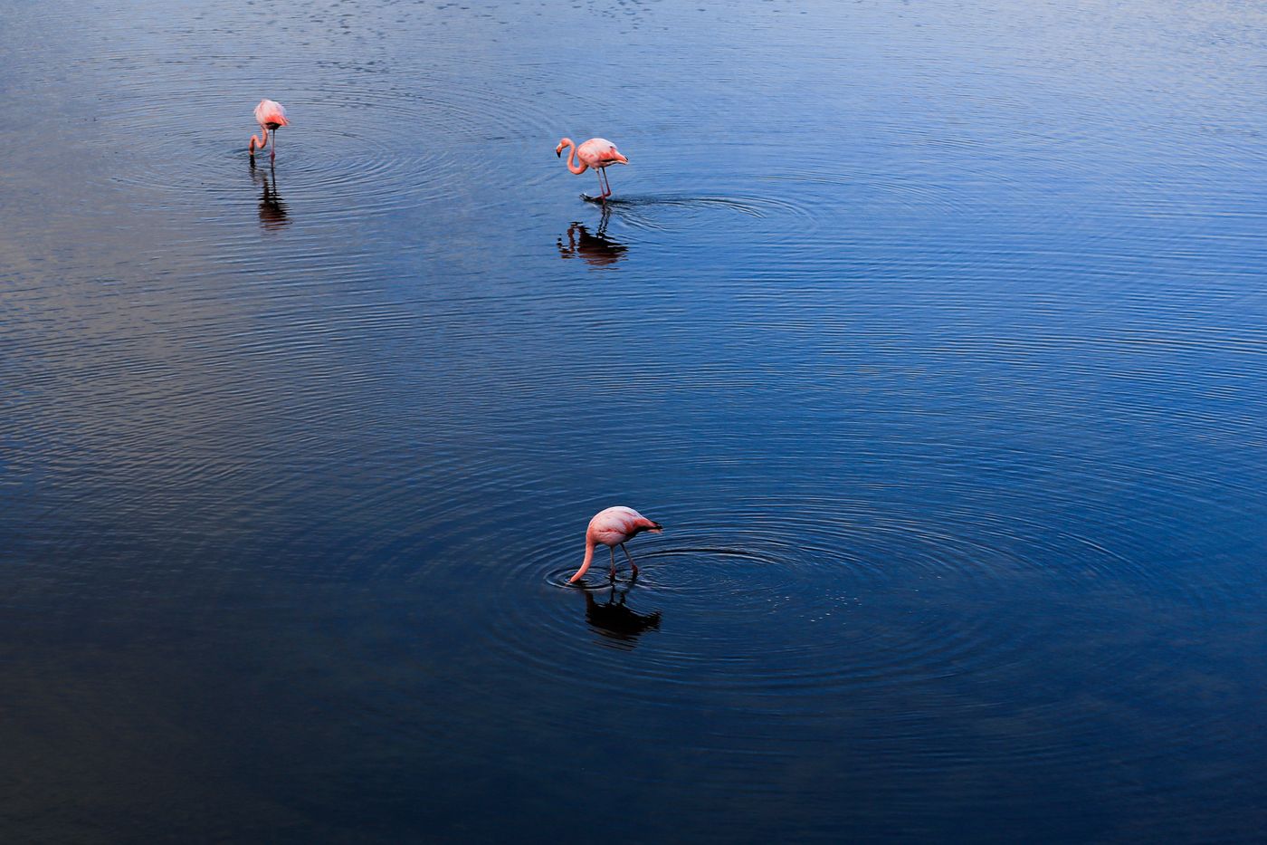 科隆群岛：烈火中诞生的伊甸园